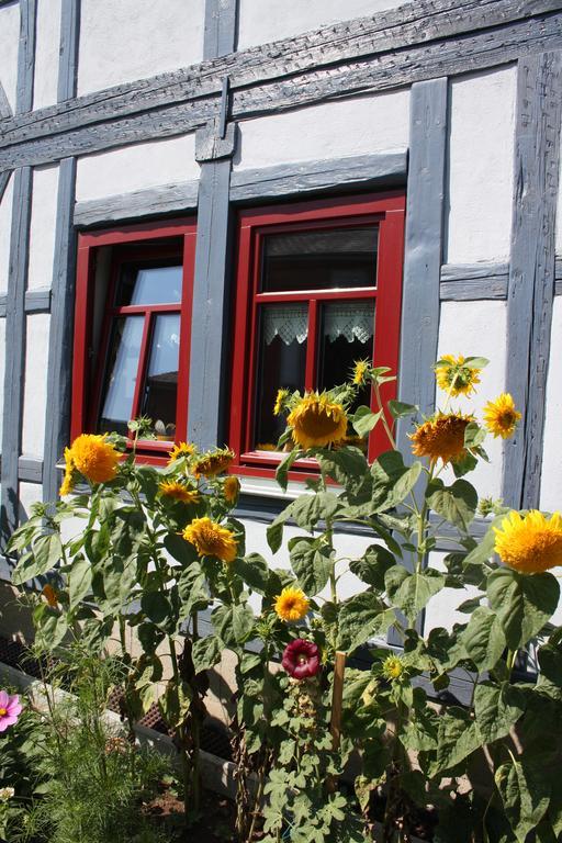 Апартаменты Cafe Landart Im Thueringer Finistere Plaue  Экстерьер фото